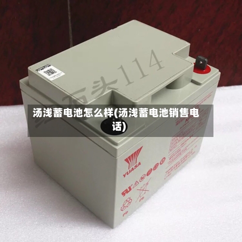 汤浅蓄电池怎么样(汤浅蓄电池销售电话)