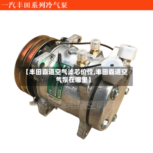 【丰田霸道空气滤芯价位,丰田霸道空气泵在哪里】