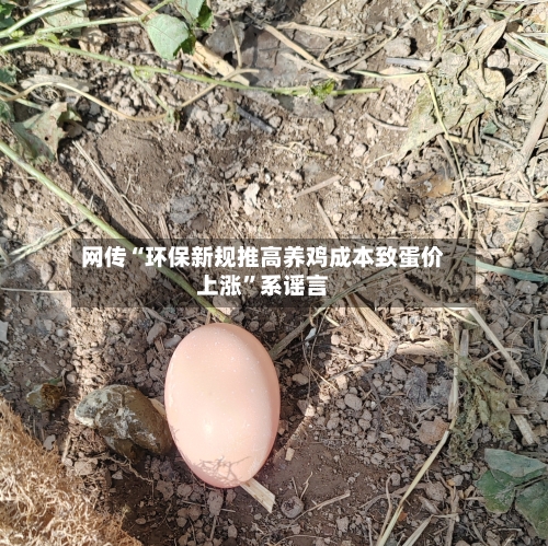 网传“环保新规推高养鸡成本致蛋价上涨”系谣言-第2张图片