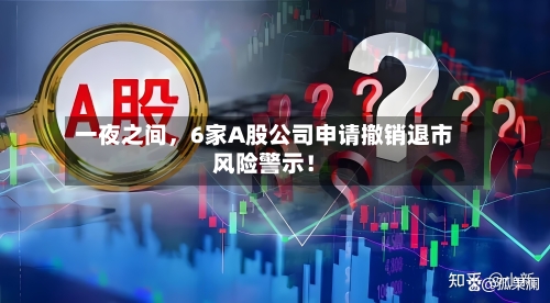 一夜之间，6家A股公司申请撤销退市风险警示！-第2张图片