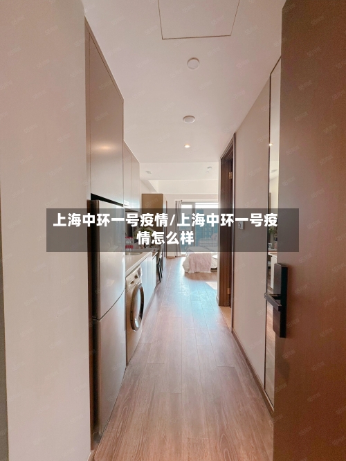 上海中环一号疫情/上海中环一号疫情怎么样-第2张图片