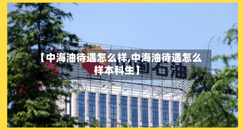 【中海油待遇怎么样,中海油待遇怎么样本科生】-第2张图片