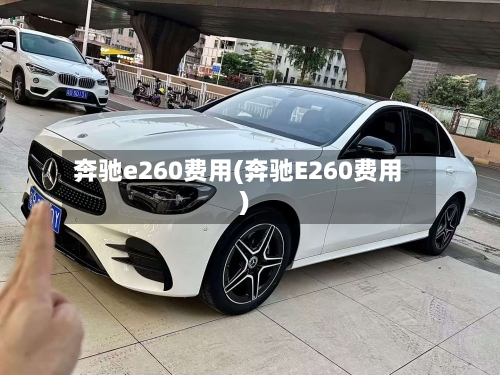 奔驰e260费用(奔驰E260费用)-第3张图片