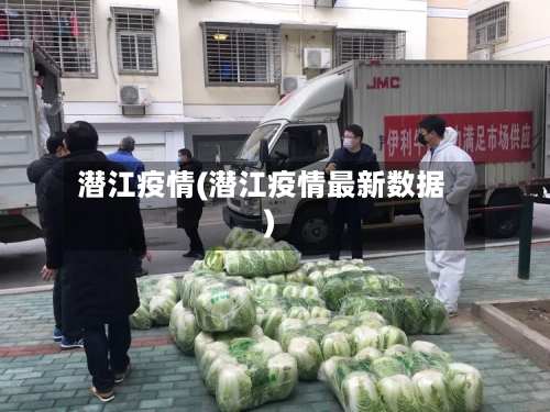 潜江疫情(潜江疫情最新数据)
