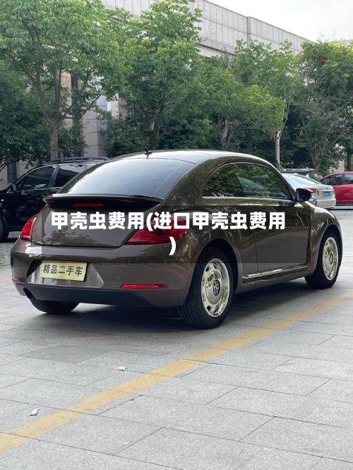 甲壳虫费用(进口甲壳虫费用)