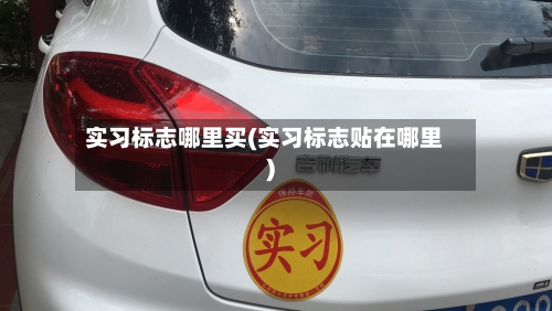实习标志哪里买(实习标志贴在哪里)