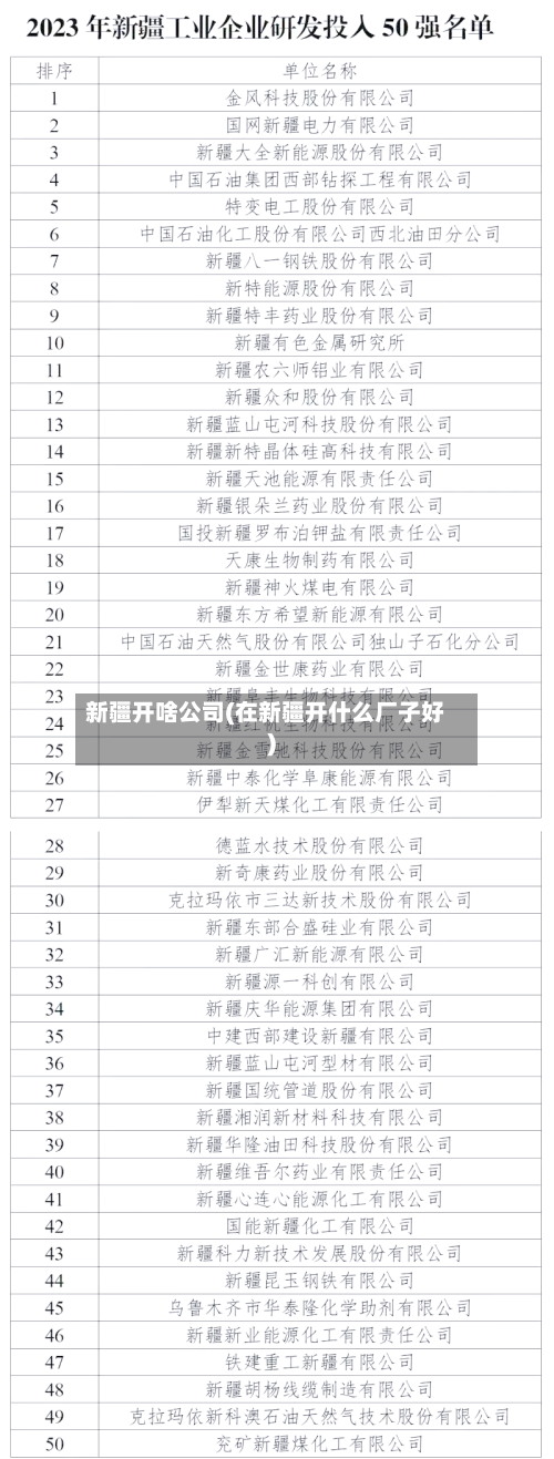 新疆开啥公司(在新疆开什么厂子好)-第2张图片