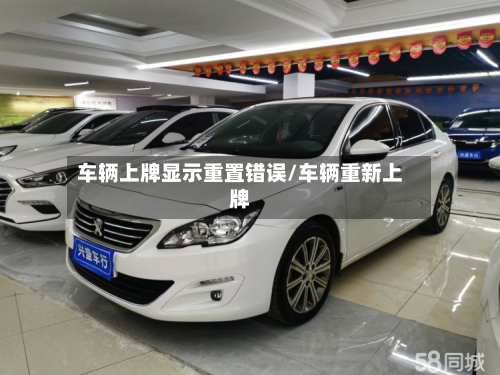 车辆上牌显示重置错误/车辆重新上牌-第3张图片
