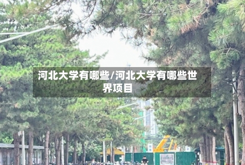 河北大学有哪些/河北大学有哪些世界项目-第3张图片