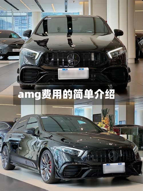 amg费用的简单介绍
