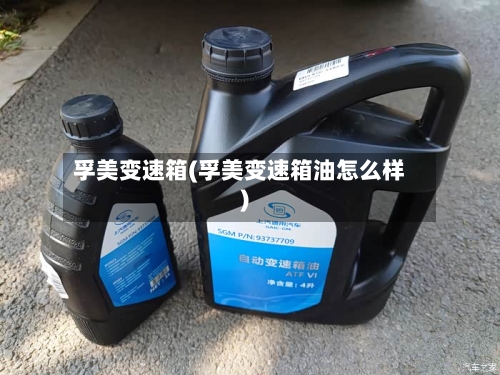 孚美变速箱(孚美变速箱油怎么样)-第3张图片