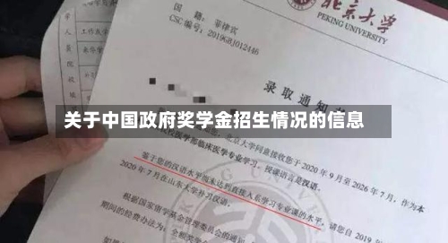 关于中国政府奖学金招生情况的信息