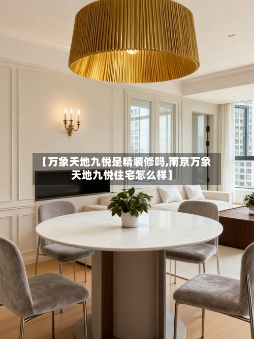 【万象天地九悦是精装修吗,南京万象天地九悦住宅怎么样】-第3张图片
