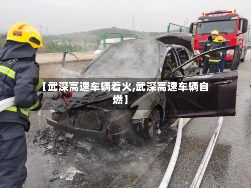 【武深高速车辆着火,武深高速车辆自燃】-第3张图片