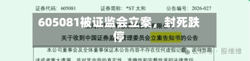 605081被证监会立案	，封死跌停-第2张图片