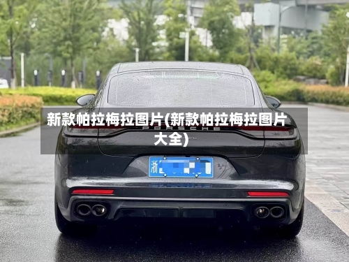 新款帕拉梅拉图片(新款帕拉梅拉图片大全)-第3张图片