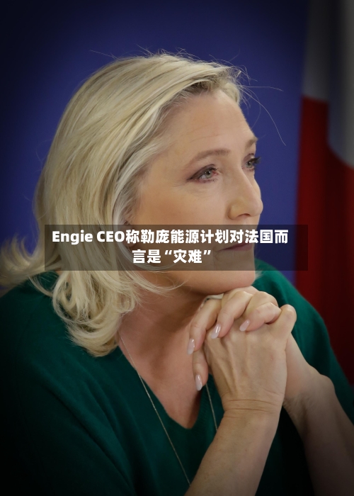 Engie CEO称勒庞能源计划对法国而言是“灾难	”-第3张图片