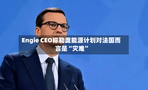 Engie CEO称勒庞能源计划对法国而言是“灾难	”-第2张图片