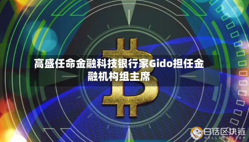 高盛任命金融科技银行家Gido担任金融机构组主席-第2张图片