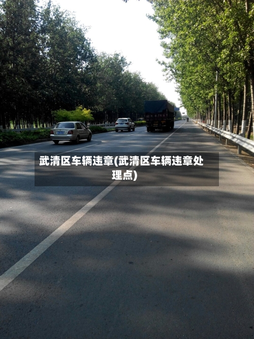 武清区车辆违章(武清区车辆违章处理点)-第3张图片
