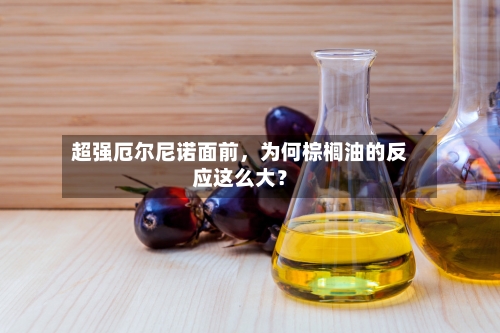 超强厄尔尼诺面前	，为何棕榈油的反应这么大？-第3张图片