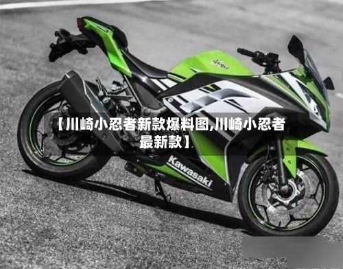 【川崎小忍者新款爆料图,川崎小忍者最新款】-第3张图片