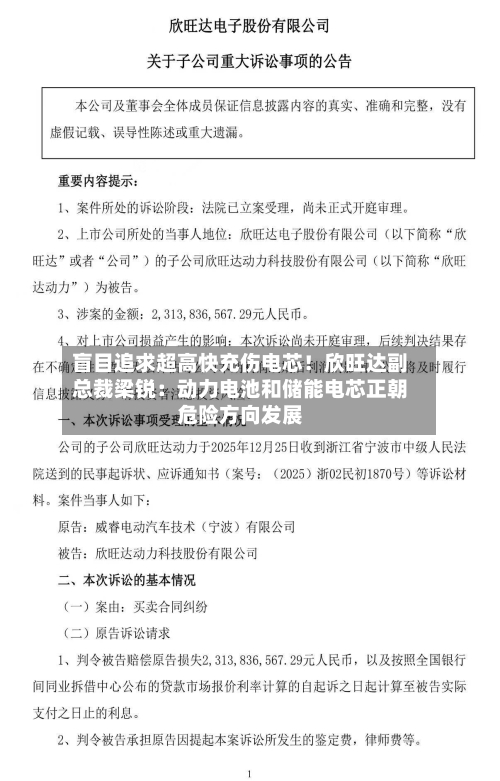 盲目追求超高快充伤电芯！欣旺达副总裁梁锐：动力电池和储能电芯正朝危险方向发展