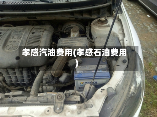 孝感汽油费用(孝感石油费用)