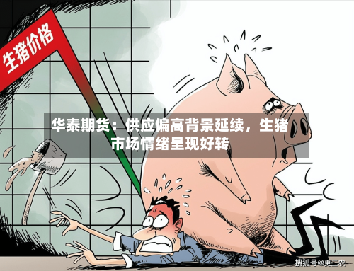 华泰期货：供应偏高背景延续	，生猪市场情绪呈现好转-第2张图片
