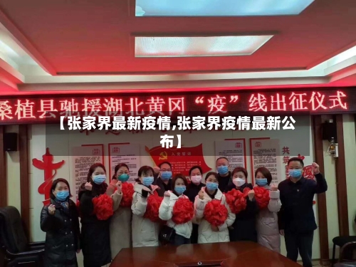 【张家界最新疫情,张家界疫情最新公布】-第3张图片