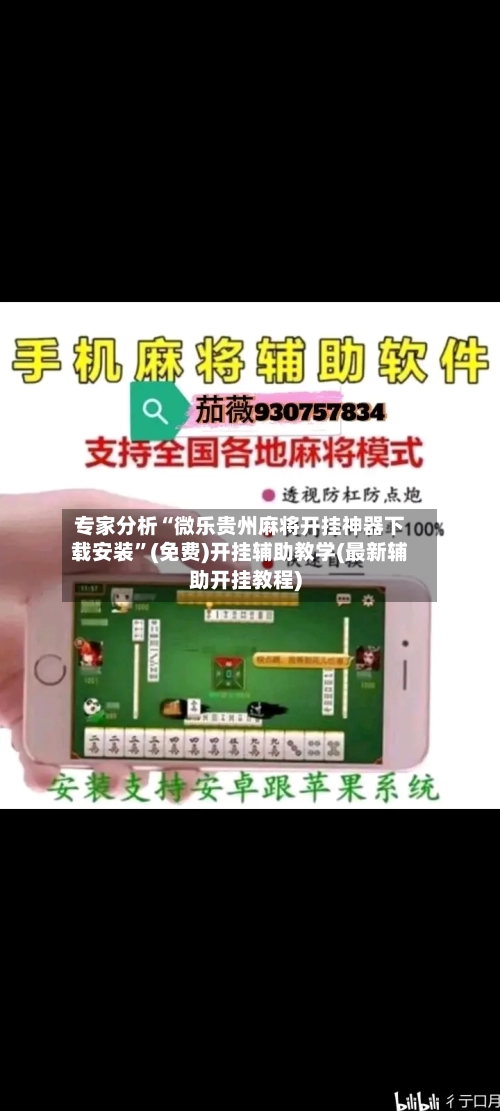 专家分析“微乐贵州麻将开挂神器下载安装	”(免费)开挂辅助教学(最新辅助开挂教程)-第3张图片