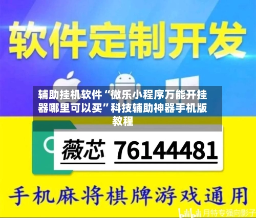 辅助挂机软件“微乐小程序万能开挂器哪里可以买	”科技辅助神器手机版教程-第2张图片