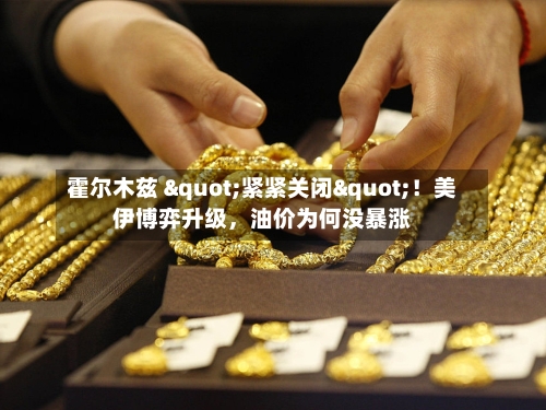 霍尔木兹 "紧紧关闭"！美伊博弈升级，油价为何没暴涨-第2张图片