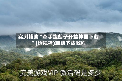 实测辅助“牵手跑胡子开挂神器下载”(透视挂)辅助下载教程