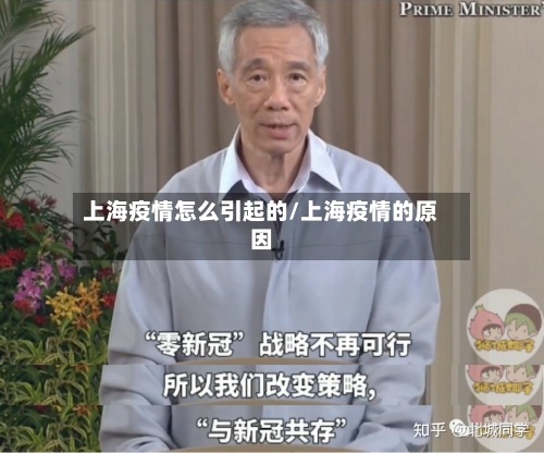 上海疫情怎么引起的/上海疫情的原因