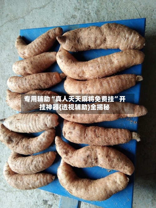 专用辅助“真人天天麻将免费挂”开挂神器{透视辅助}全揭秘-第2张图片