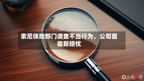索尼保险部门调查不当行为	，公司面临新担忧-第2张图片