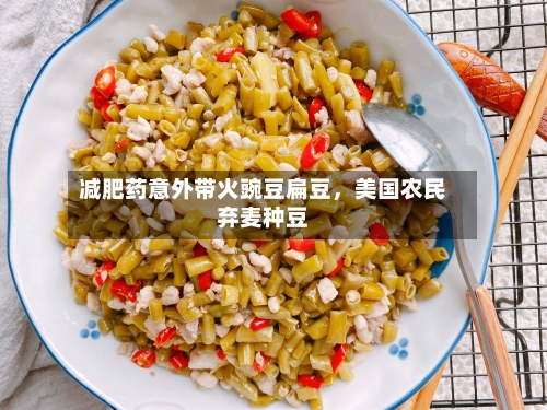 减肥药意外带火豌豆扁豆，美国农民弃麦种豆-第2张图片