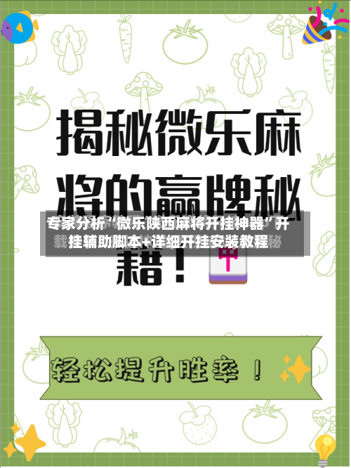 专家分析“微乐陕西麻将开挂神器	”开挂辅助脚本+详细开挂安装教程-第2张图片
