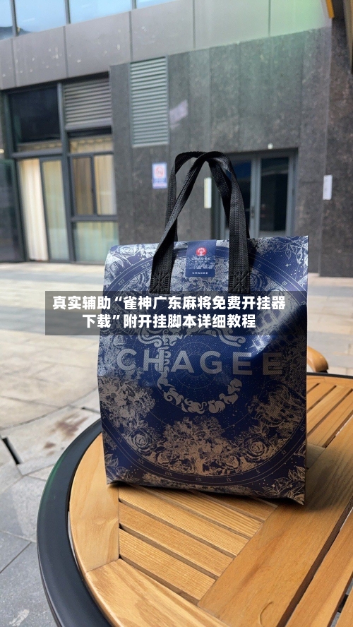 真实辅助“雀神广东麻将免费开挂器下载	”附开挂脚本详细教程-第2张图片