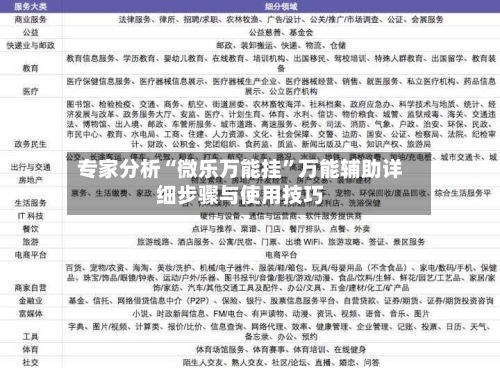 专家分析“微乐万能挂	”万能辅助详细步骤与使用技巧-第2张图片