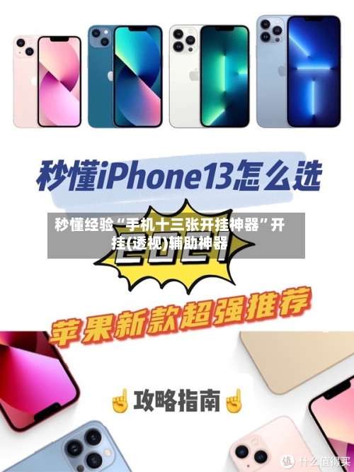 秒懂经验“手机十三张开挂神器	”开挂(透视)辅助神器-第2张图片