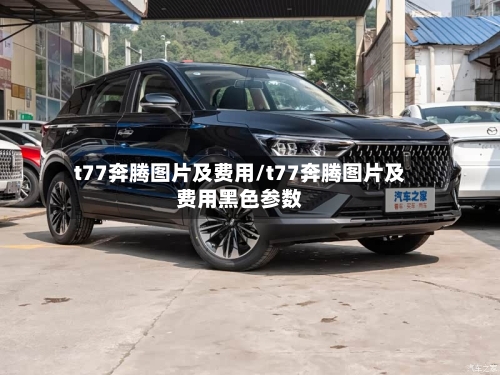 t77奔腾图片及费用/t77奔腾图片及费用黑色参数