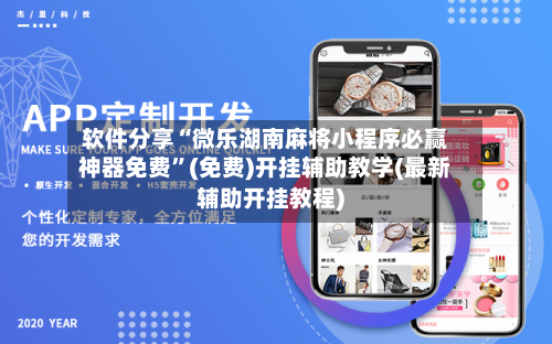 软件分享“微乐湖南麻将小程序必赢神器免费	”(免费)开挂辅助教学(最新辅助开挂教程)-第2张图片