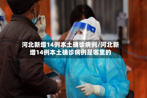 河北新增14例本土确诊病例/河北新增14例本土确诊病例是哪里的-第3张图片