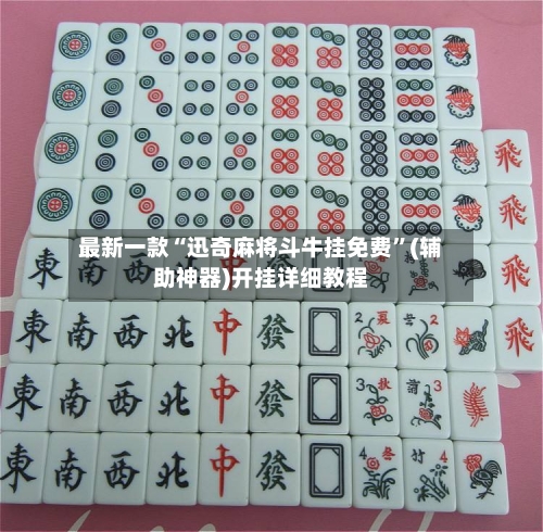 最新一款“迅奇麻将斗牛挂免费	”(辅助神器)开挂详细教程-第2张图片