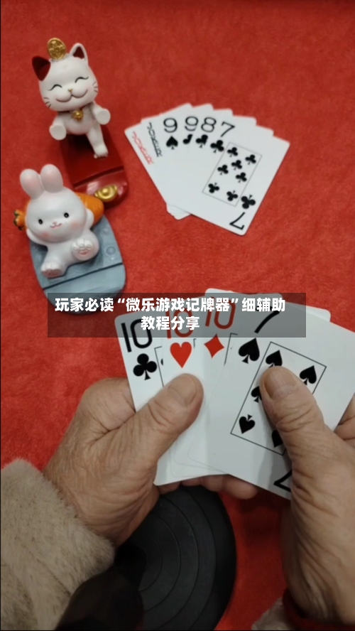 玩家必读“微乐游戏记牌器”细辅助教程分享-第3张图片
