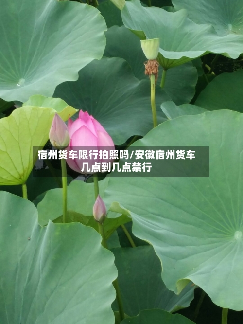 宿州货车限行拍照吗/安徽宿州货车几点到几点禁行