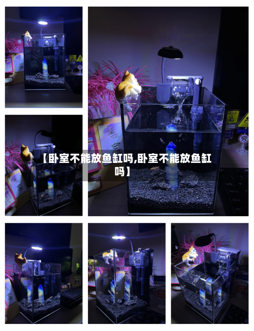 【卧室不能放鱼缸吗,卧室不能放鱼缸吗】
