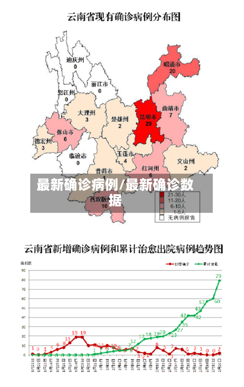 最新确诊病例/最新确诊数据